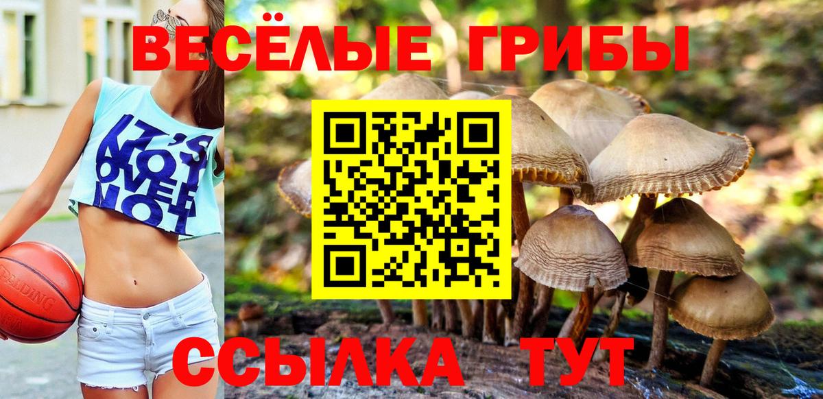 Галлюциногенные грибы Magic Shrooms  Вход с VPN  Ступино 