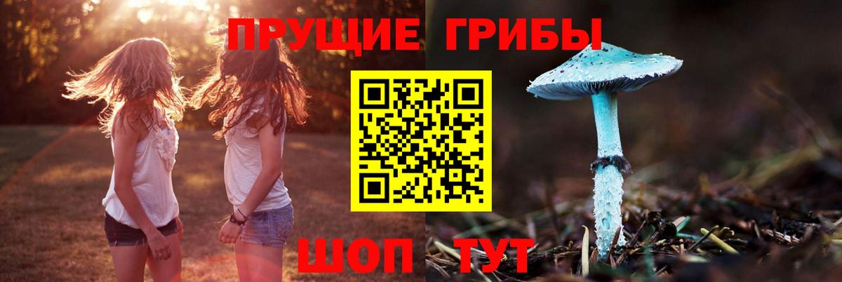 Галлюциногенные грибы мицелий Ступино